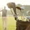 Golf Tips for Beginners