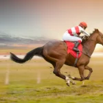 Horse Racing Terms
