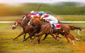 Horse Racing Terms Horse Racing Betting