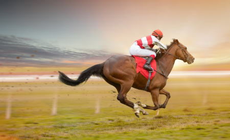 Horse Racing Horse Racing Terms