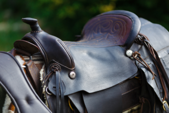 Horse Saddle Horse racing tips
