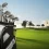 How Many Clubs in a Golf Bag? Here’s What You Need to Know