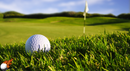 grass Golf on Grass